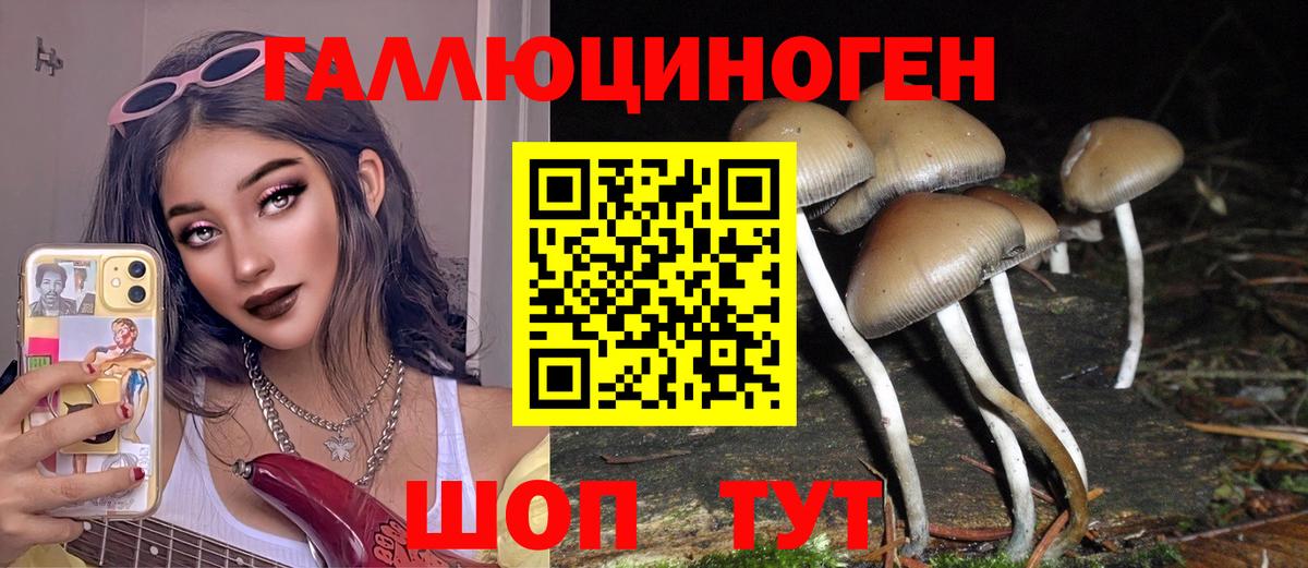 Псилоцибиновые грибы мицелий Выкса
